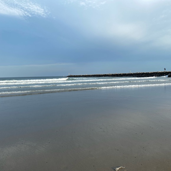 Offers are Welcome 🐝 - Picture 2 of 3